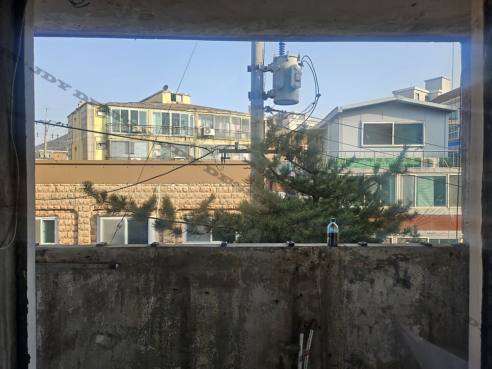 연희