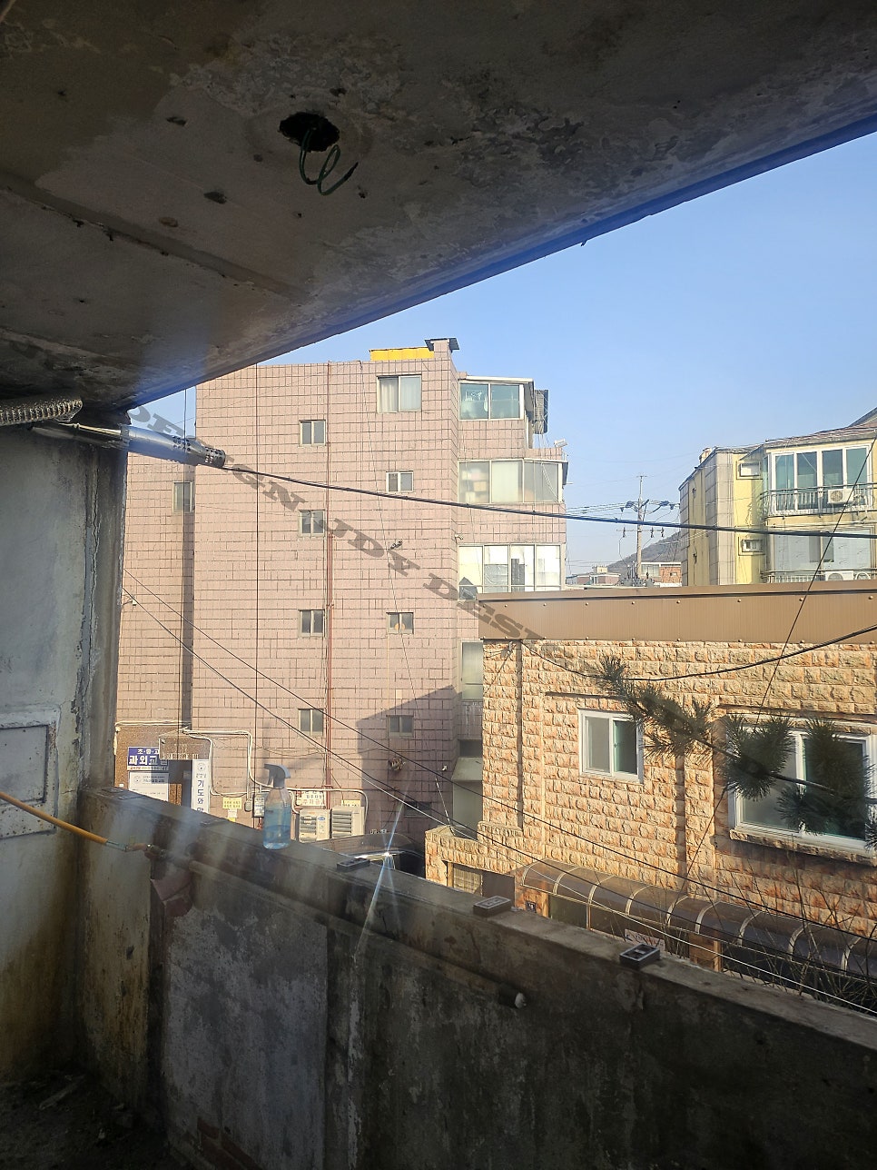 연희
